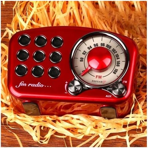 Radio Feegar Retro Bluetooth Lautsprecher,Vintage FM Radio mit altmodischem klassischem Stil,Starke