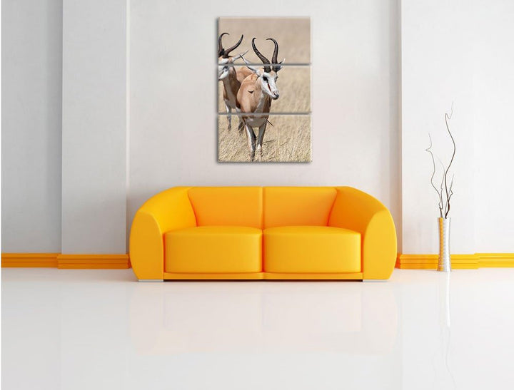 Pixxprint Tiere in Savanne Rehe Afrika als Leinwandbild/Grösse: 3 Teilig (120x80) cm/Wandbild/Kunstd