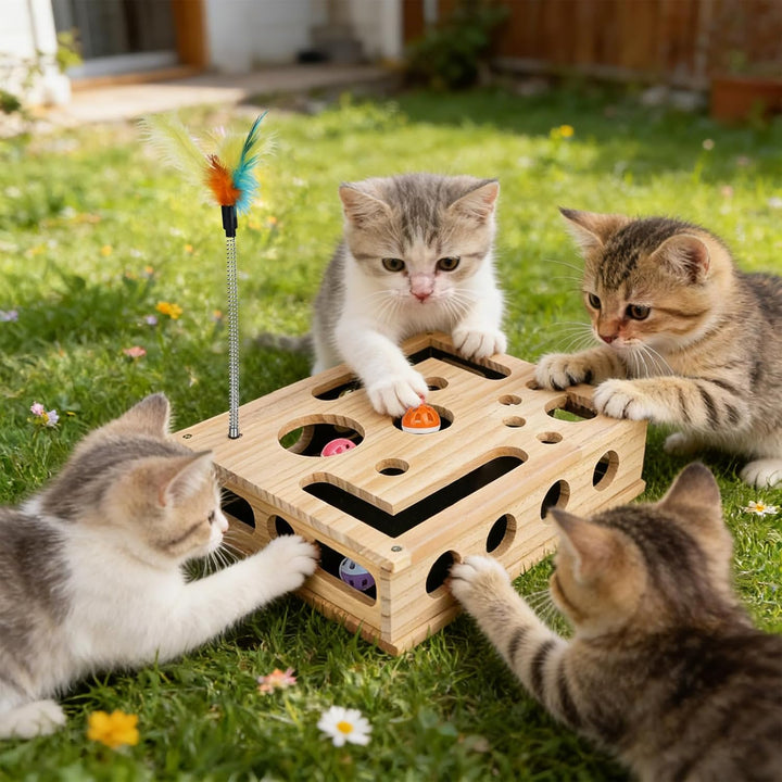 Labyrinth für Katzen-Puzzle-Anreicherungsbox mit Kratzbrett, Stressabbau beim Spielen für Katzen; Un