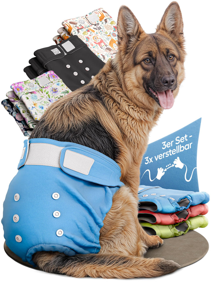 HUND IST KÖNIG Hundewindeln für Hündinnen (3 Stück) - Hochabsorbierende Läufigkeitshose für Hündinne