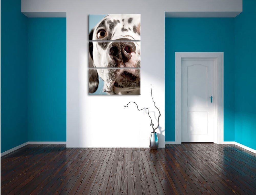 Pixxprint Süsser Dalmatiner als Leinwandbild/Grösse: 3 Teilig (120x80) cm/Wandbild/Kunstdruck/fertig