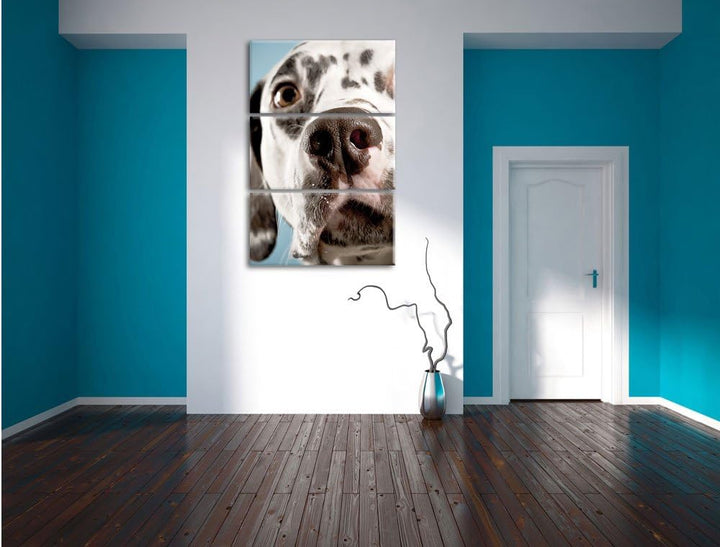 Pixxprint Süsser Dalmatiner als Leinwandbild/Grösse: 3 Teilig (120x80) cm/Wandbild/Kunstdruck/fertig