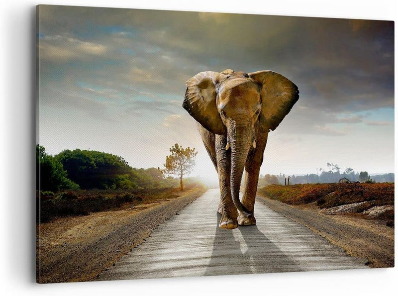 Bilder auf Leinwand 100x70cm Leinwandbild Elefant Strasse Landschaft Gross Wanddeko Bild Schlafzimme