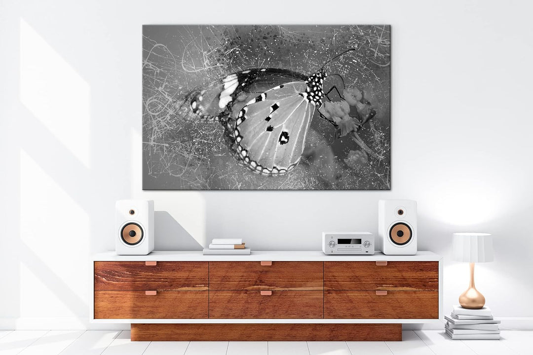deyoli kleiner Schmetterling auf Nahrungssuche Format: 80x60 als Leinwand, Effekt: Schwarz&Weiss, Mo