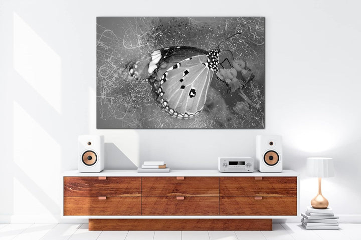deyoli kleiner Schmetterling auf Nahrungssuche Format: 80x60 als Leinwand, Effekt: Schwarz&Weiss, Mo