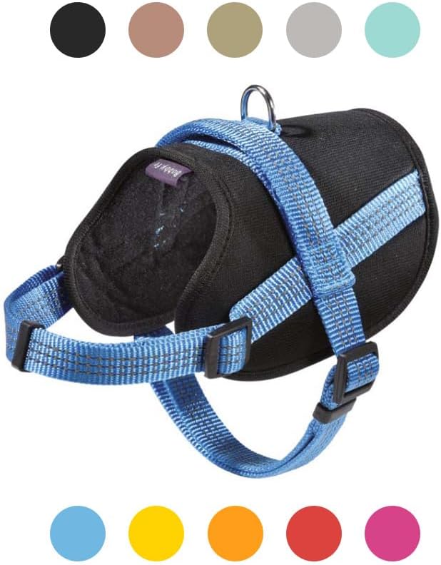 Easy Safe Geschirr, Blau lagon, lagon