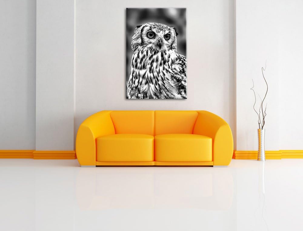 Pixxprint Eule mit orangen Augen als Leinwandbild/Grösse: 100x70 / Wandbild/Kunstdruck/fertig bespan