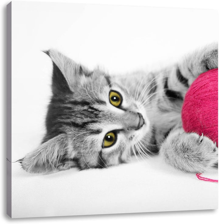 Pixxprint süsses Kätzchen mit Wollknäuel schwarz/weiss, Format: 70x70 auf Leinwand, 70x70