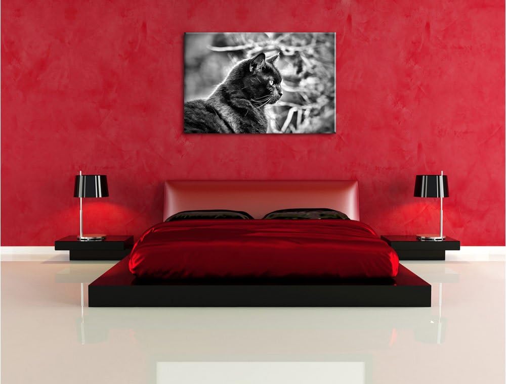 Monocrome, schwarze Katze, Format: 100x70 auf Leinwand, XXL riesige Bilder fertig gerahmt mit Keilra