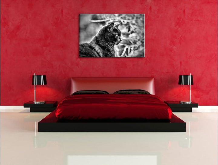 Monocrome, schwarze Katze, Format: 100x70 auf Leinwand, XXL riesige Bilder fertig gerahmt mit Keilra
