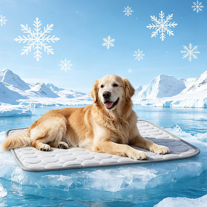 Kühlmatte für Hunde Gross, Selbstkühlend Hundematte 100 * 70cm Kühldecke für Hunde, Sommer Kühlkisse