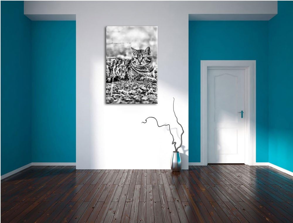Pixxprint Ruhende Katze im Wald / 100x70cm Leinwandbild bespannt auf Holzrahmen/Wandbild Kunstdruck