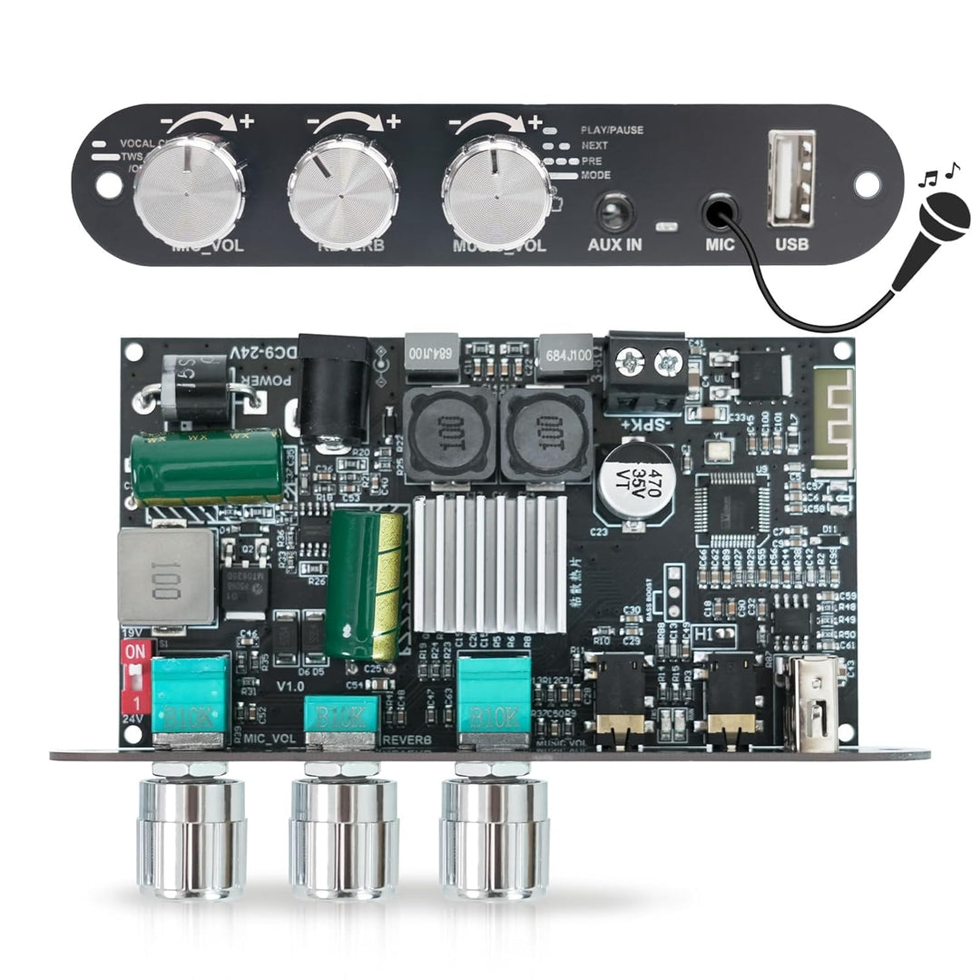 Bluetooth 5.3 Mono Verstärker Board Modul, 100W Audioverstärker mit Echo & EQ-Regelung, TWS-Pairing