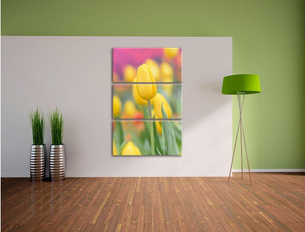 Pixxprint Gelbe Tulpen im Frühling als Leinwandbild/Grösse: 3 Teilig (120x80) cm/Wandbild/Kunstdruck
