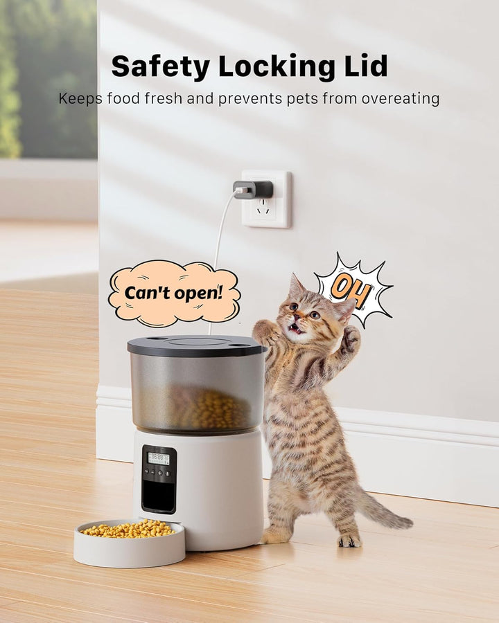 BEMOONY Futterautomat Katze, Katzenfutter Automat mit Programmierbarem Timer, 1-6 Mahlzeiten pro Tag
