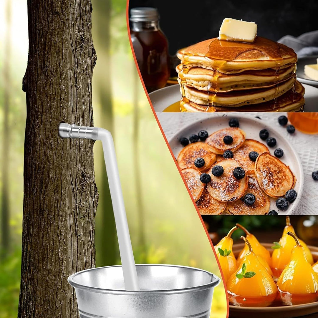 Tree Sap Tapping Kit, 4-Set Portable Maple Tree Taps Drill Bits, Stainless Steel Spiles & Trunk Fauc