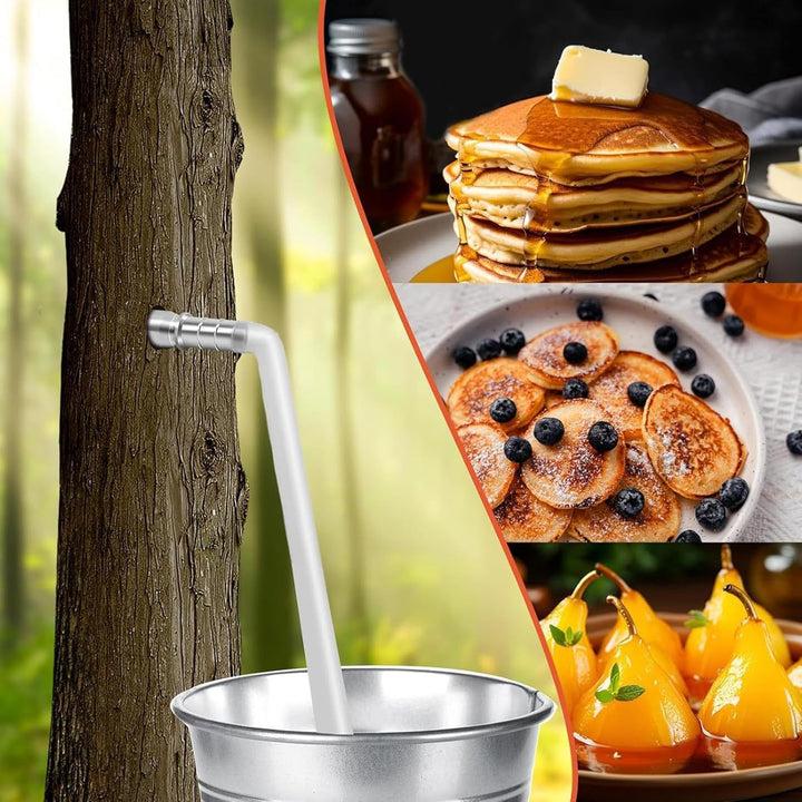 Tree Sap Tapping Kit, 4-Set Portable Maple Tree Taps Drill Bits, Stainless Steel Spiles & Trunk Fauc