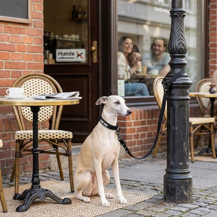 Hundeleine 2.0 LOCK DOG Schnitt und bissfest + 2 Schlösser und 3 Schlüssel sicher abschliessen Leine
