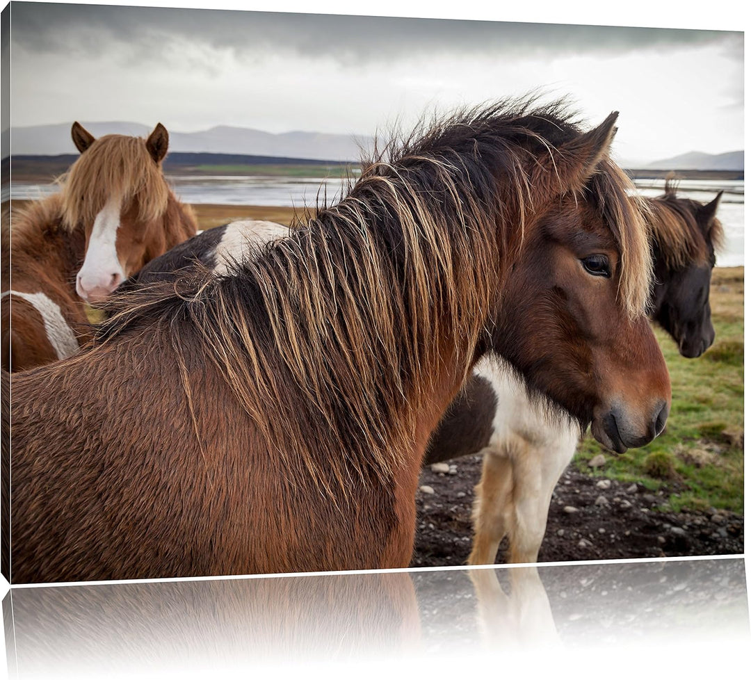Pixxprint Herde aus schönen Wildpferden als Leinwandbild/Grösse: 100x70 cm/Wandbild/Kunstdruck/ferti
