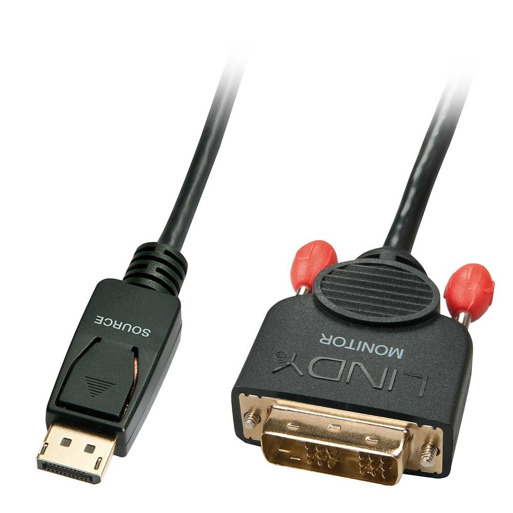 LINDY 41489 0.5m DisplayPort an DVI Kabel