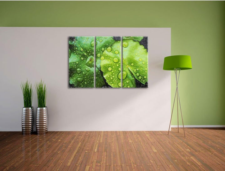 Pixxprint die Blätter mit den Wassertropfen Kunst Buntstift Effekt 3-Teiler Leinwandbild 120x80 Bild