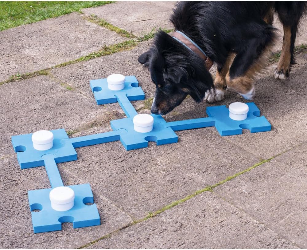 Schnüffeltrainer Lernset zum Wiedererkennen und Unterscheiden von Gerüchen Aller Art