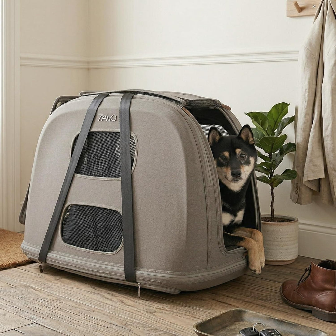 Tavo Crispin Haustier-Transportbox Large – Crash-getestete Auto-Transportbox für Hunde & Katzen, ISO
