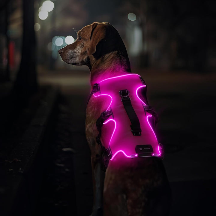 Jewyow Hundegeschirr Leuchtend, Wiederaufladbare LED Hundegeschirr, Led Geschirr für Hunde mit Weich