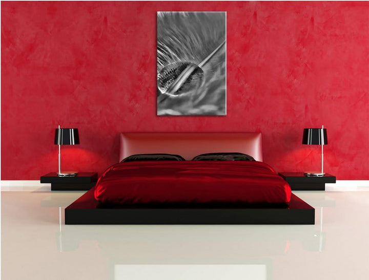 Pixxprint Wassertropfen auf Feder als Leinwandbild/Grösse: 100x70 / Wandbild/Kunstdruck/fertig bespa