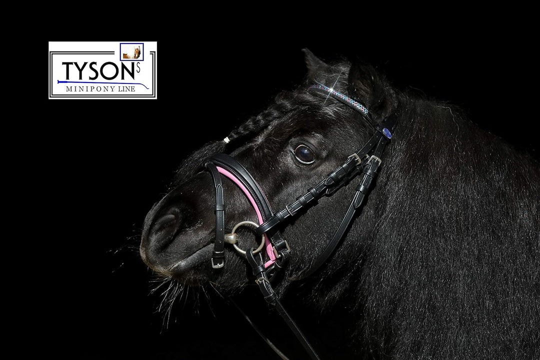 Trense Multi Minishetty Minishetty Rosa Hellblau zu wechseln ergonimisch geschnitten Ledertrense Led