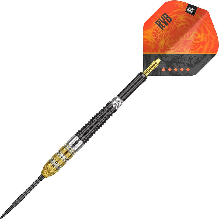 Target Darts Raymond van Barneveld RVB 95 4. Gen. 95% Wolfram Swiss Point Steeldarts-Set Dartpfeile