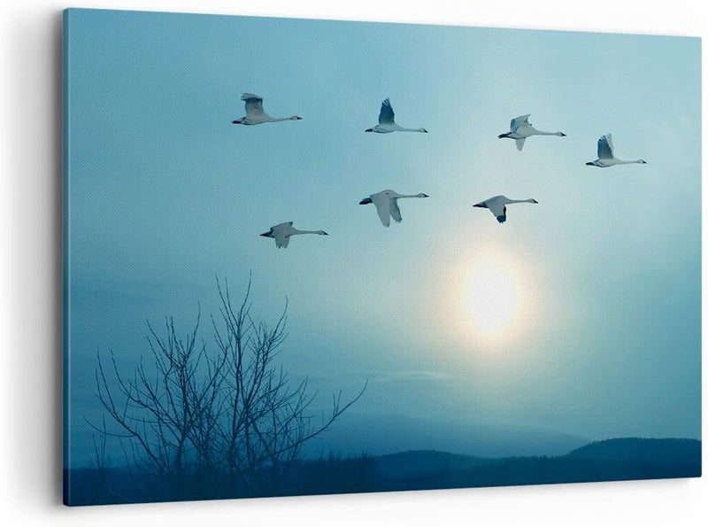 Bilder auf Leinwand 100x70cm Leinwandbild mit Rahmen Storch Vogel Natur Gross Wanddeko Bild Schlafzi