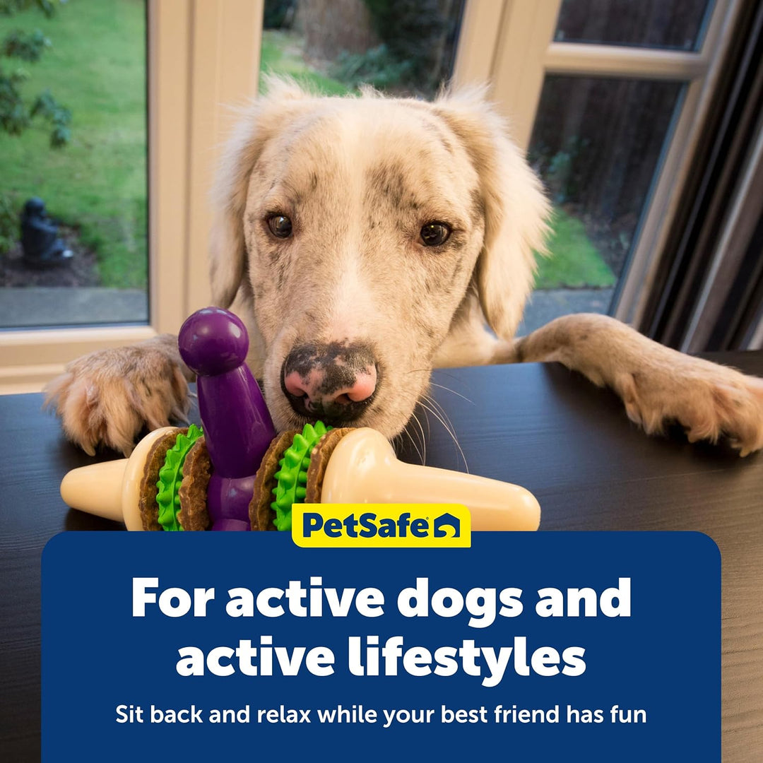 PetSafe Busy Buddy Jack Hundespielzeug, L