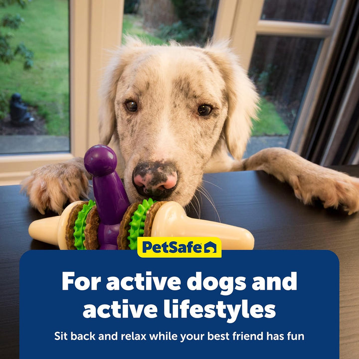 PetSafe Busy Buddy Jack Hundespielzeug, L