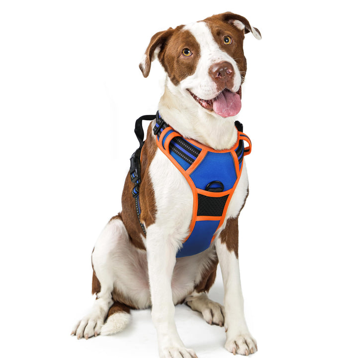 rabbitgoo Hundegeschirr Mittelgrosse Hunde Anti Zug Geschirr Hund mit Kontrolle No Pull Verstellbar