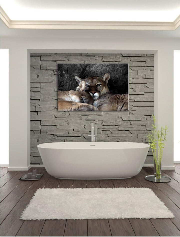 Pixxprint verschlafenes Puma Paar als Leinwandbild/Grösse: 100x70 / Wandbild/Kunstdruck/fertig bespa