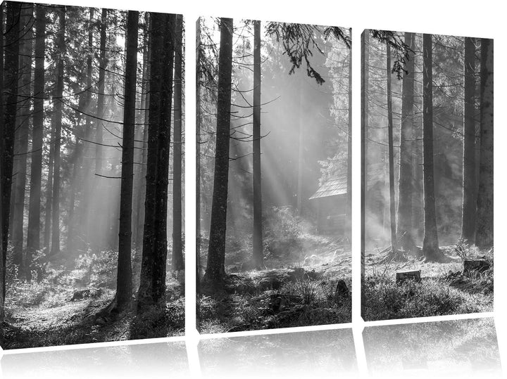 Pixxprint Häuschen im Wald mit Sonnenstrahlen schwarz/weiss 3-Teiler Leinwandbild 120x80 Bild auf Le