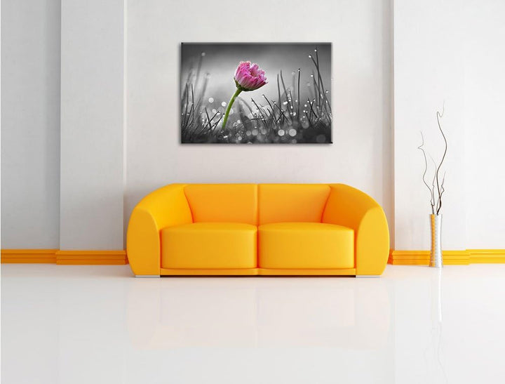 Pixxprint rosa Gänseblümchen im Gras als Leinwandbild/Grösse: 100x70 cm/Wandbild/Kunstdruck/fertig b