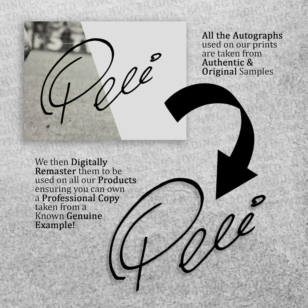 HWC Trading FR A3 Winners 2021 Gedruckte Erinnerungsstücke Signiert Autogramm Foto Display Für Fussb