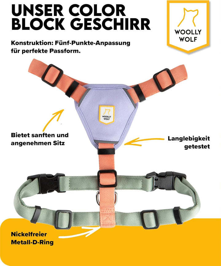 Woolly Wolf Color Block Hundegeschirr für kleine Hunde S – Geschirr mit Reflektoren &amp; 5-Punkt-Anpass