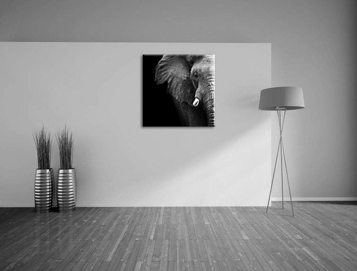 Pixxprint Elefant Porträt, Format: 70x70 auf Leinwand, XXL riesige Bilder fertig gerahmt mit Keilrah