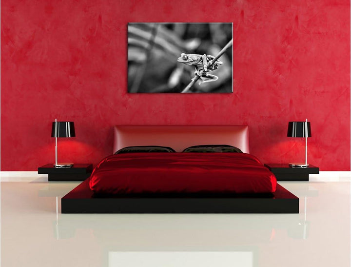 Pixxprint Grüner Kleiner Frosch auf AST als Leinwandbild/Grösse: 100x70 cm/Wandbild/Kunstdruck/ferti