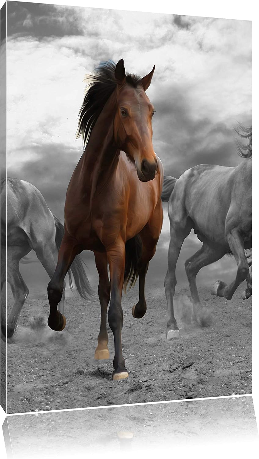 Pixxprint Mustangherde im Sand Schwarz/weiss, Format: 70x100 auf hochkantiges Leinwand, XXL riesige