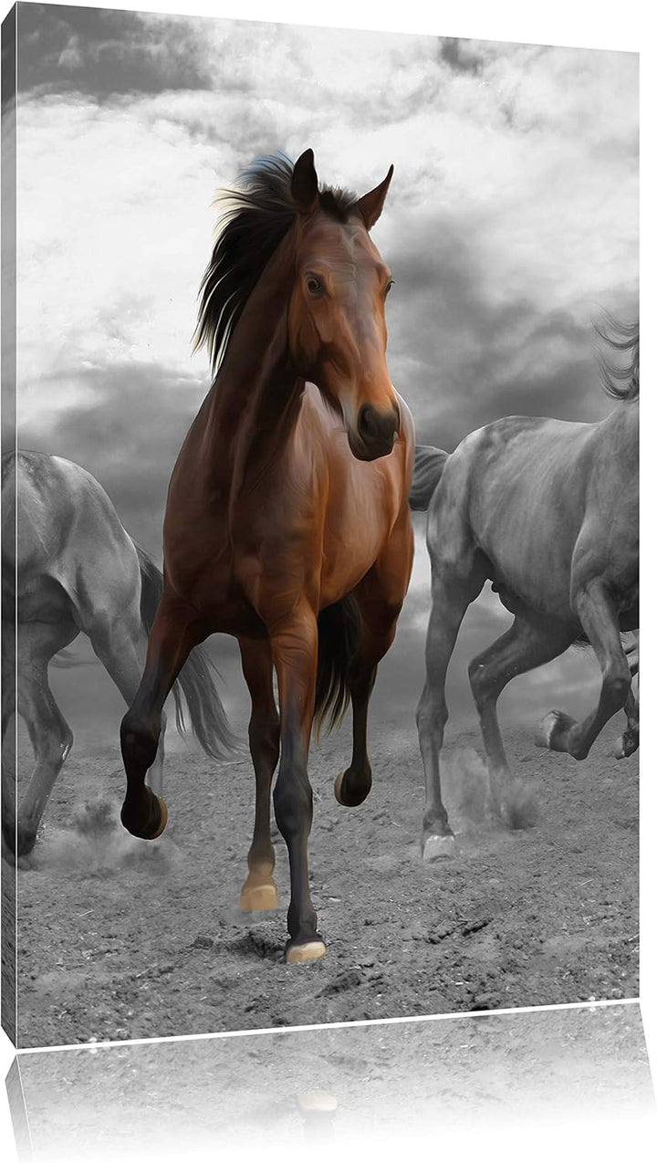 Pixxprint Mustangherde im Sand Schwarz/weiss, Format: 70x100 auf hochkantiges Leinwand, XXL riesige