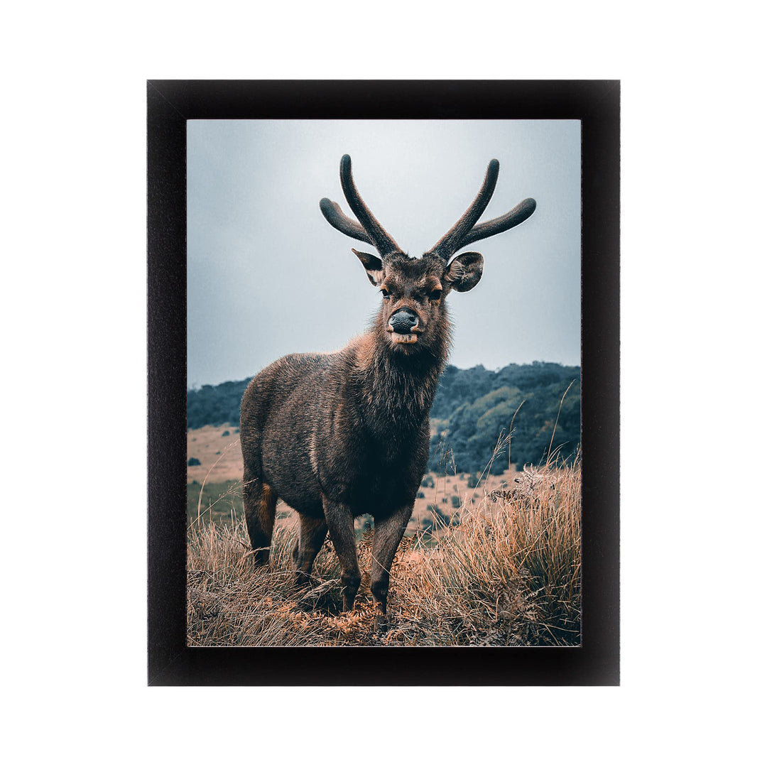Rahmendesign24 Posterrahmen Milano 50x50 Schwarz (hochglanz) Fotorahmen, Wechselrahmen, Bilderrahmen