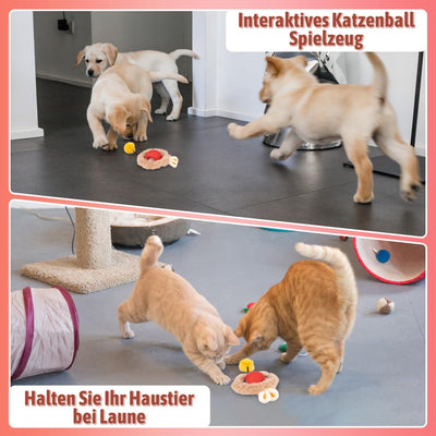 Katzenball Elektrisch, Interaktives Katzenball Spielzeug, Chewie Rolling Ball, Interaktives Hunde Ba