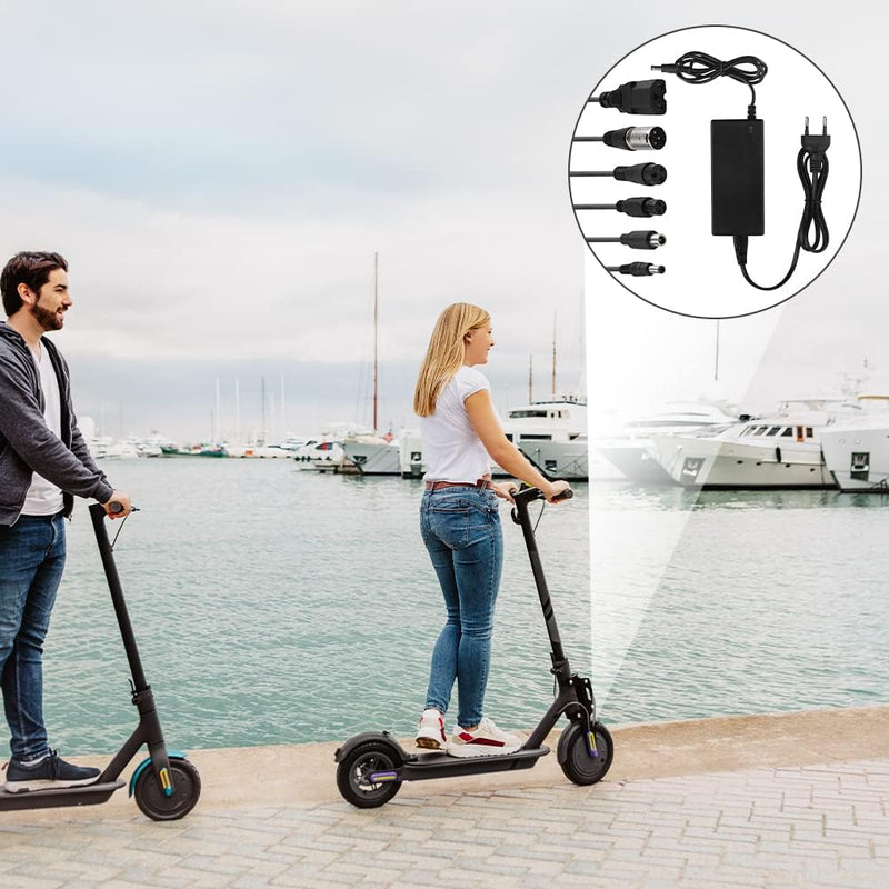 LUFEIS Ladegeräte für Scooter, Hoverboard Ladekabel, E Scooter Ladegerät, Universal-Ladegerät mit 6