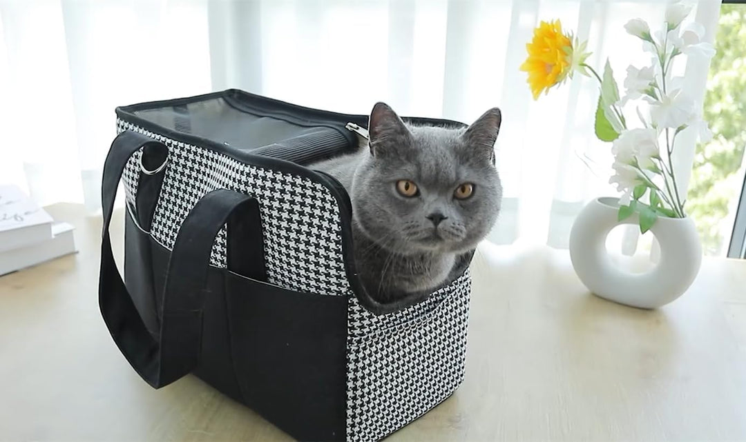 Grosse Tragetasche für Hunde und Katzen bis 5 kg – Hundetasche Öffnung Oben, atmungsaktiv, tragbar,