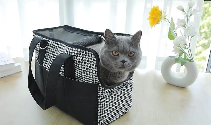 Grosse Tragetasche für Hunde und Katzen bis 5 kg – Hundetasche Öffnung Oben, atmungsaktiv, tragbar,