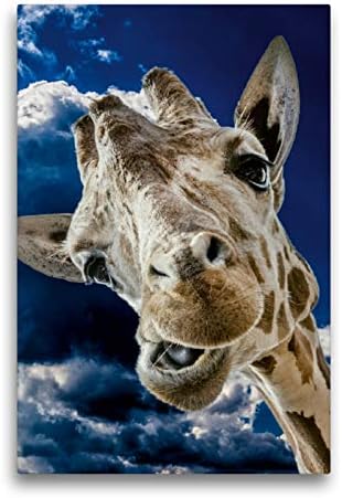 Premium Textil-Leinwand 50 x 75 cm Hoch-Format Giraffe | Wandbild, HD-Bild auf Keilrahmen, Fertigbil